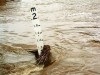 Ostrzeżenie hydrologiczne I - go stopnia o gwałtownych wzrostach stanów wody z dnia 14.03.2025 r.